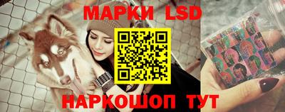 индика Краснокаменск