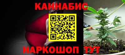 индика Краснокаменск