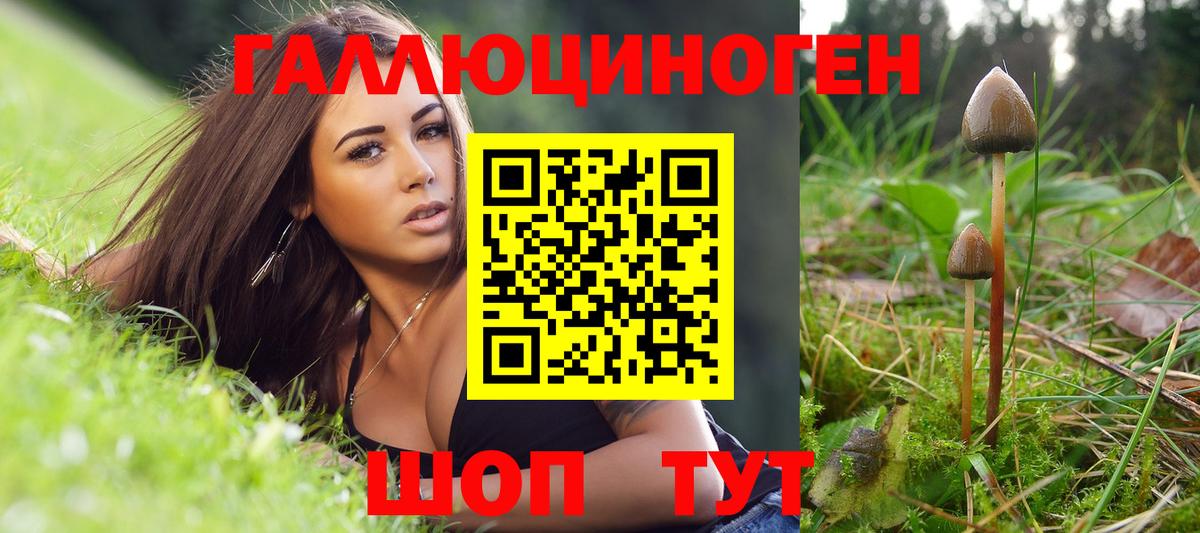 Топки  где купить наркоту  Псилоцибиновые грибы MAGIC MUSHROOMS  Вход с VPN  Псилоцибиновые грибы Psilocybe 