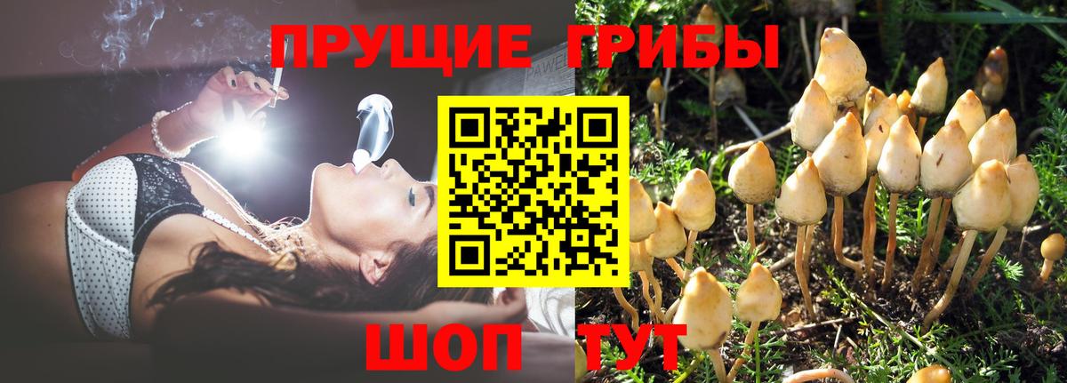 Псилоцибиновые грибы ЛСД Топки